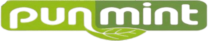 Pun Mint
