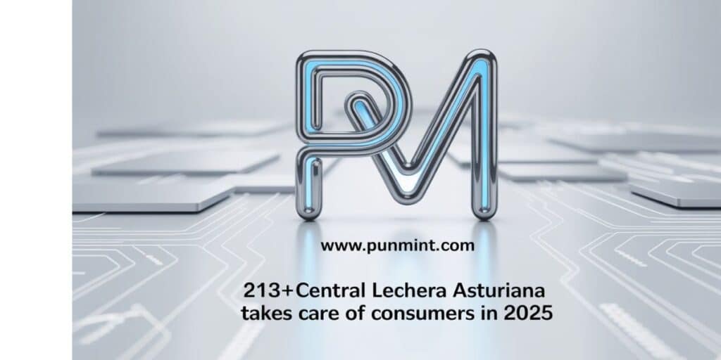 213+Central Lechered Asturian takes care of consumers in 2025